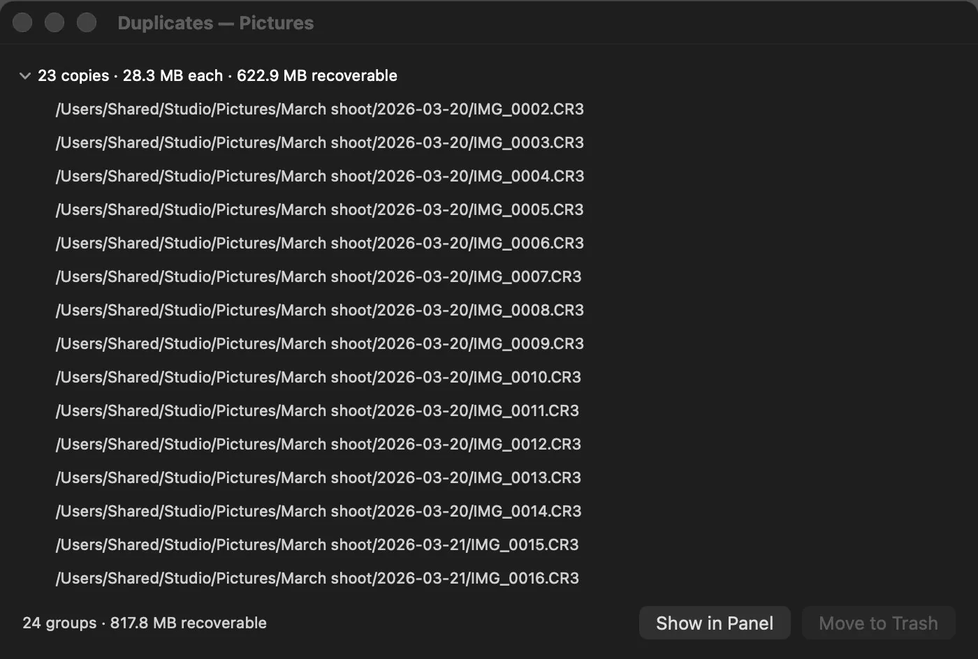 Duplicates: the groups of identical files with their size and full paths, and the total recoverable space.