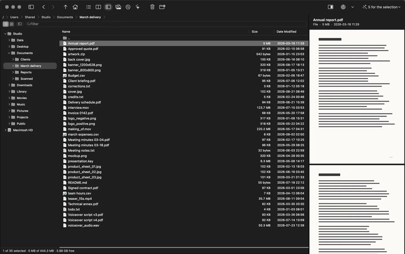 Browse mode: a single panel with a folder's listing and, on the right, the first page of the selected PDF.