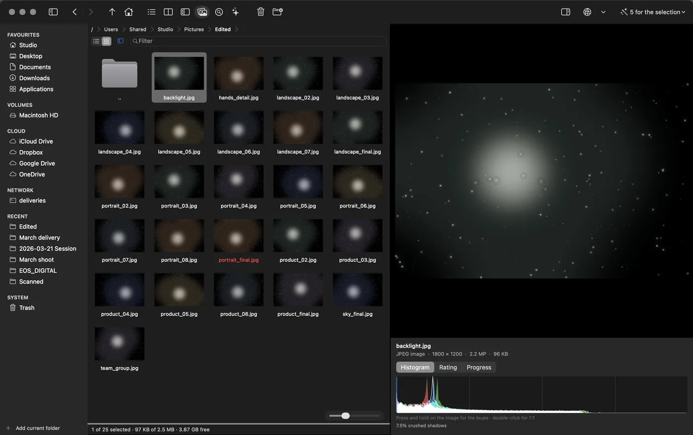 Review mode: a grid of images on the left and, on the right, the big one with its format, dimensions and weight, and the RGB histogram.