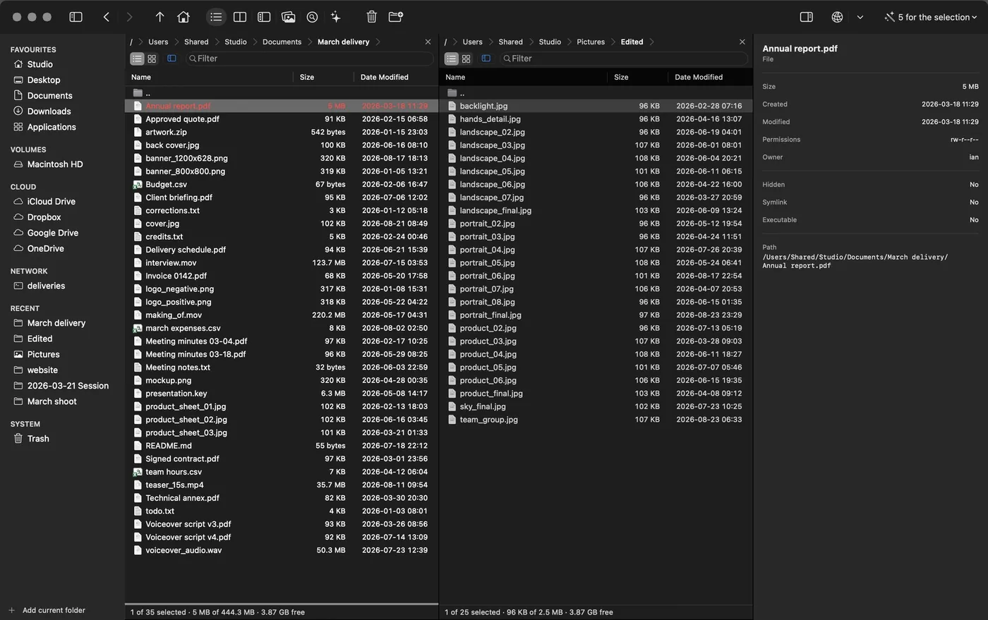 Both panes with the properties pane open on the right, showing size, dates, permissions and full path of a document.