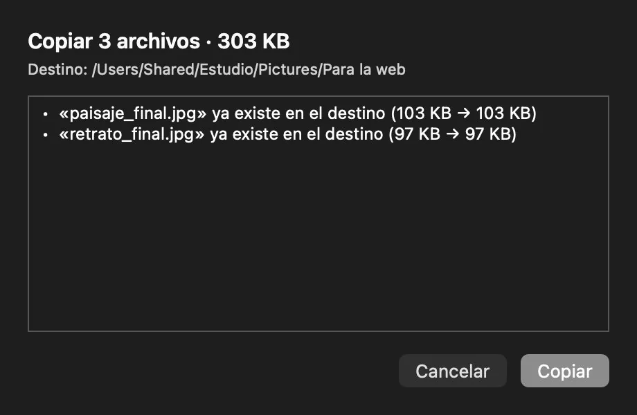 Te dice qué va a pasar. Cuántos archivos, cuánto pesan y qué se sobrescribe — antes de tocar un byte.